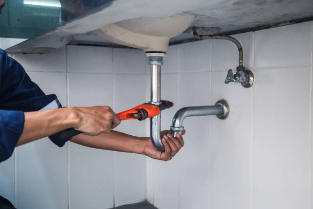 Best Local Plumber Services  in Bridgeville, PA